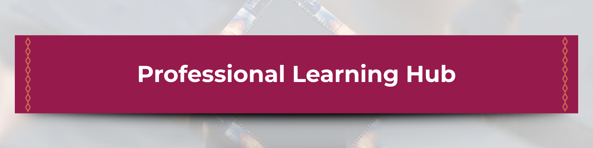 Professional Learning Hub Banner