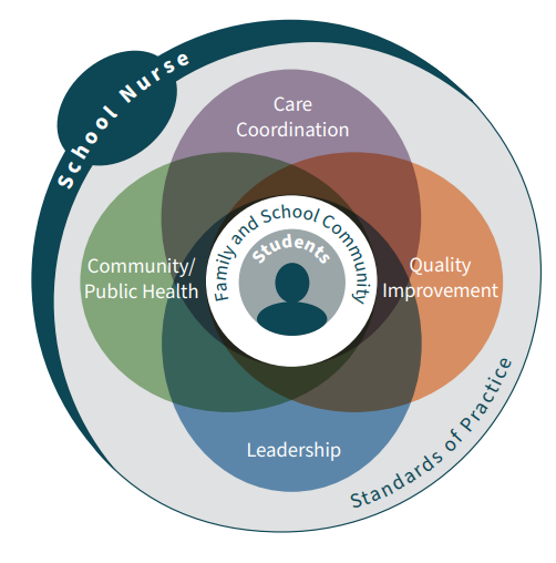 School Nursing framework