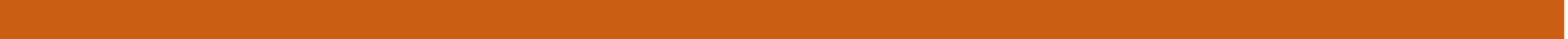 Decorative Orange line