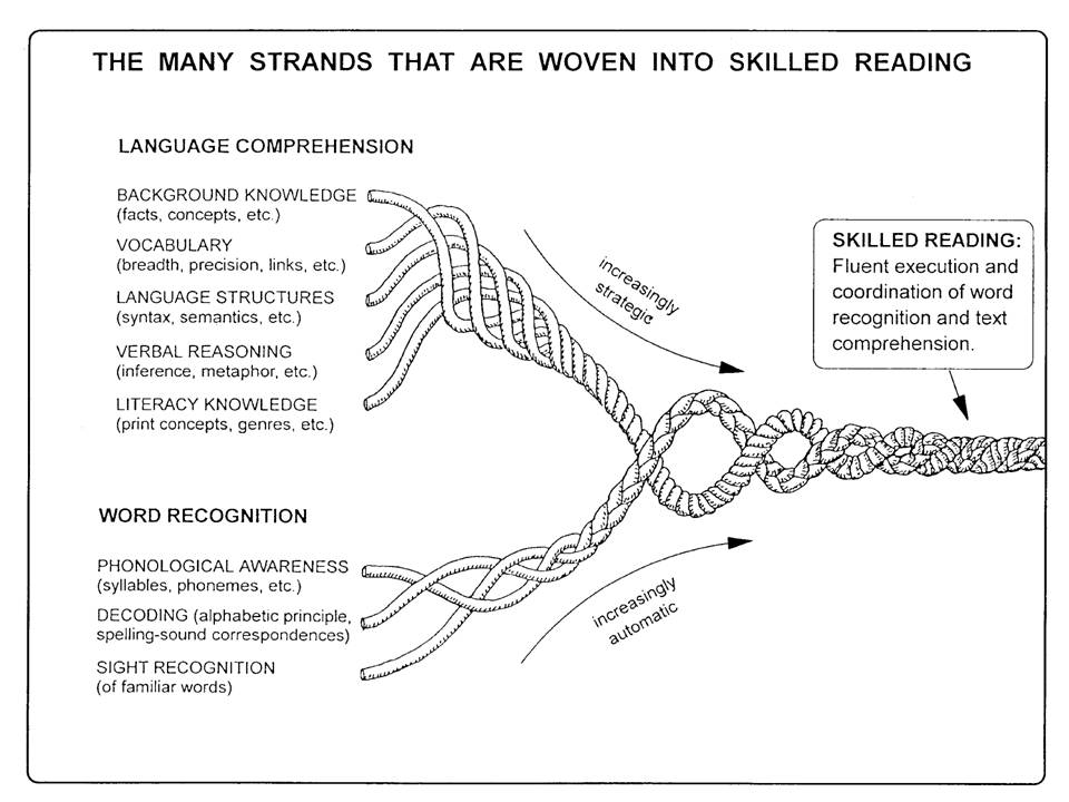 Scarborough's Reading Rope An image of Scarborough's Reading Rope.